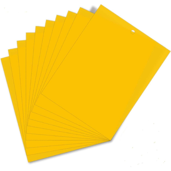 20 stk 15cm * 20 cm Dobbeltsidig Klebrig Papir, Gule Klebrige Papirer for Hvit Fly Blad, Bladlus, Miner med Vridbare Bånd, (20PCS)