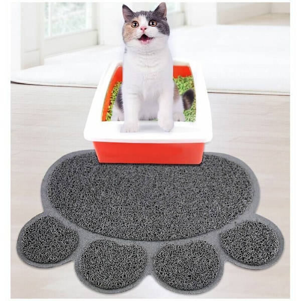 Katt Katt Katt Katt Katt Matta För Katt Katt Katt Katt Matta Katt Katt Katt Katt Matta För Grå Grå Katt