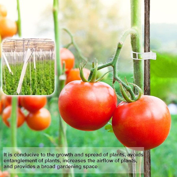(Hvid) Tomatholder Krog, 15 Stykker Tomatreb Krog Holder med 10m Reb og 15 Stykker Holder Clips, Have Tomatkrog til Have, Blomster, Vege