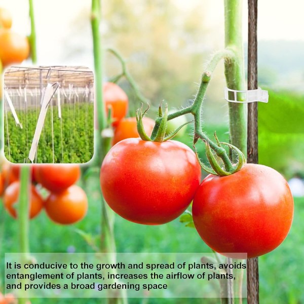 (Vit) Tomathållare krok, 15 st Tomatrep krokar hållare med 10m rep och 15 st hållare klämmor, Trädgård Tomatkrok för trädgård, blommor, Vege