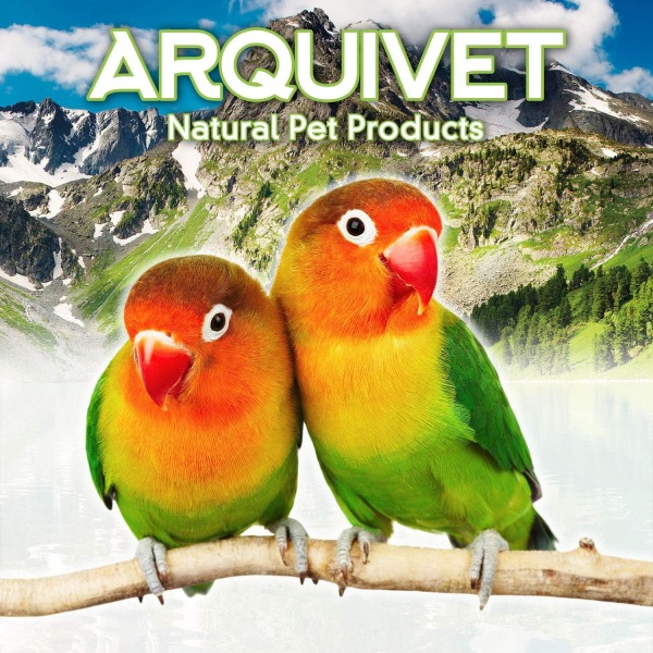 Skål i rustfritt stål for papegøyer- Fuglematbeholder
