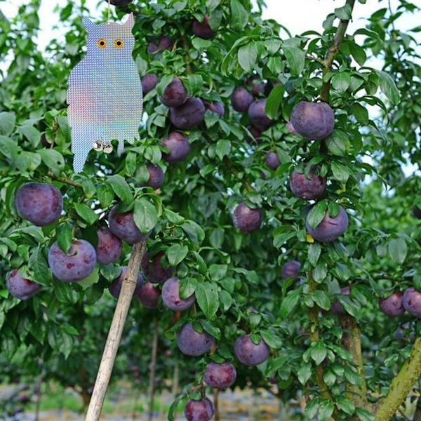 2 pakka linnunpelättimiä - Heijastava ripustettava pöllö - Tuholaistorjunta puupelletti - Pelottaa ja pelottaa kyyhkyset, lokit, tuholaiset, prot