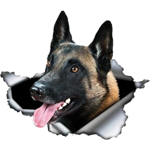 Belgisk Malinois bilmærkat Bilmærkat reflekterende klistermærker 25 cm 3D revet klistermærke Metal Vandtæt Belgisk Hyrdehund Dyrehund Klistermærke
