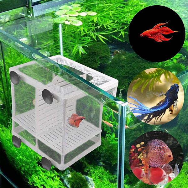 2 stk gyteboks, isolasjonsnett for akvarier, akvariefiskruger, egnet for akvarier, isoler frøplanter og støtt inkubasjon og br