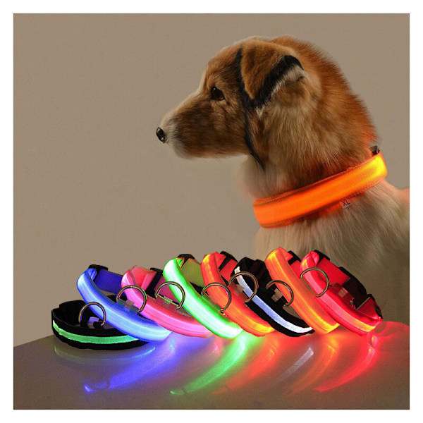 Oransje lyseblå 2 stk LED LYS HALSBÅND HUND LADING LIMA