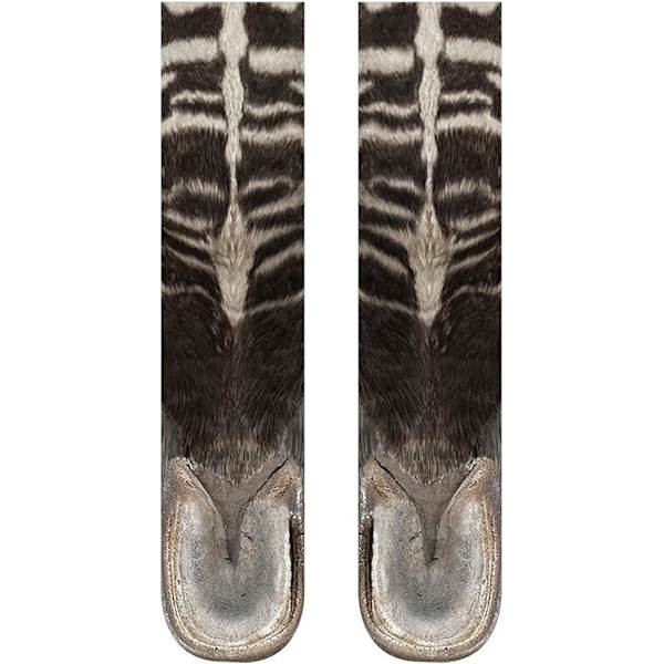 Djur Zebra Tass Sockar Nyhet Sockar Roliga Julgåvor Strumpfyllnad för Män Kvinnor Tonårspojkar Vuxna Skämtgåvor