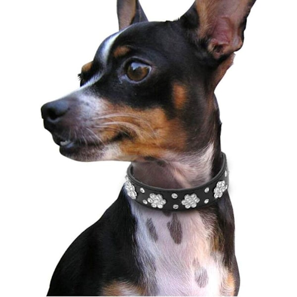 Hundehalsbånd med rhinsten - Smuk blomst og rhinsten - Bling bling bling halsbånd i syntetisk læder - justerbare størrelser - M-