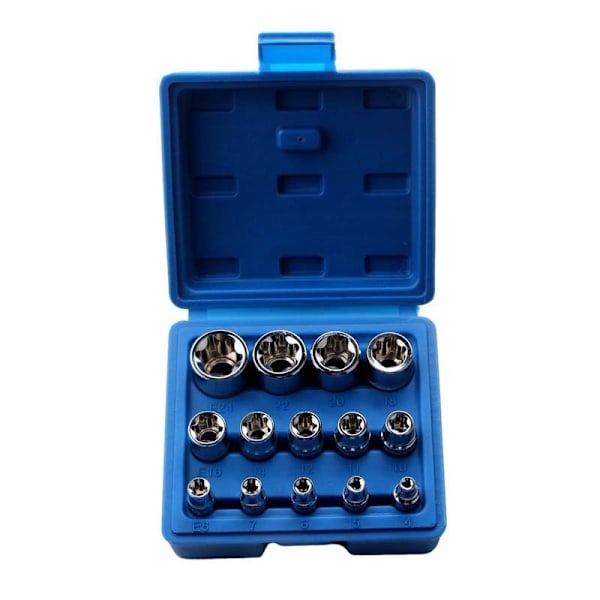 Sett med 14 Torx hunner E4-E24 E-Torx sekskantpiper