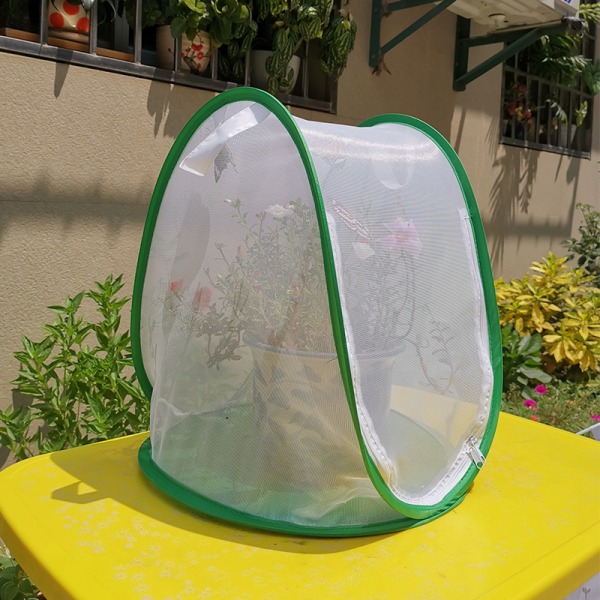 Grønt Mini Plant Drivhus Telt med Transparent Cover Beskyttet