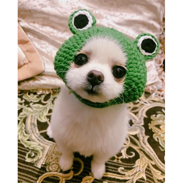 Håndstrikket kæledyrshat - Uldgarnshat til katte og hunde, hvalp, bamse, tegneseriefrø, dyrehat til hunde og katte, grøn, S