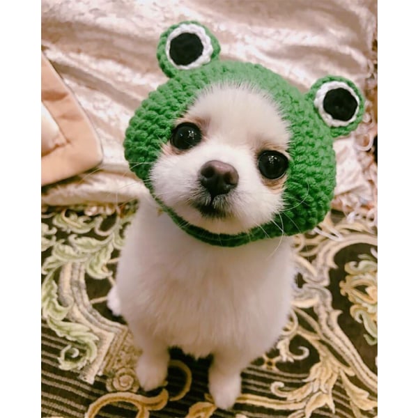 Pet Hat - Hand Knitted Cat Dog Woolen Yarn Hat for Puppy Teddy Cartoon Frog Animal Dog Cat Grooming Accessories Clothes, Green, S