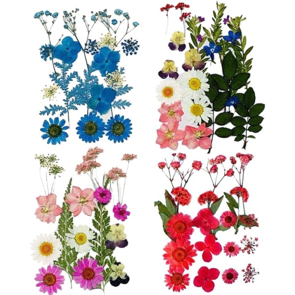 Luonnolliset kuivatut kukat, 4 sarjaa kuivattuja kukkakimppuja, kukkakäsitöitä, h