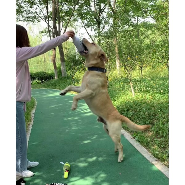 Plush Hundelegetøj Pet Kvækkende Trykt Champagne Tequila Flaskeformet Legetøj Hund Bidresistent Rens Tænder Tyggelegetøj Kæledyr