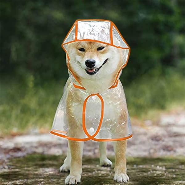 Hunderegnfrakk (Oransje, XS)