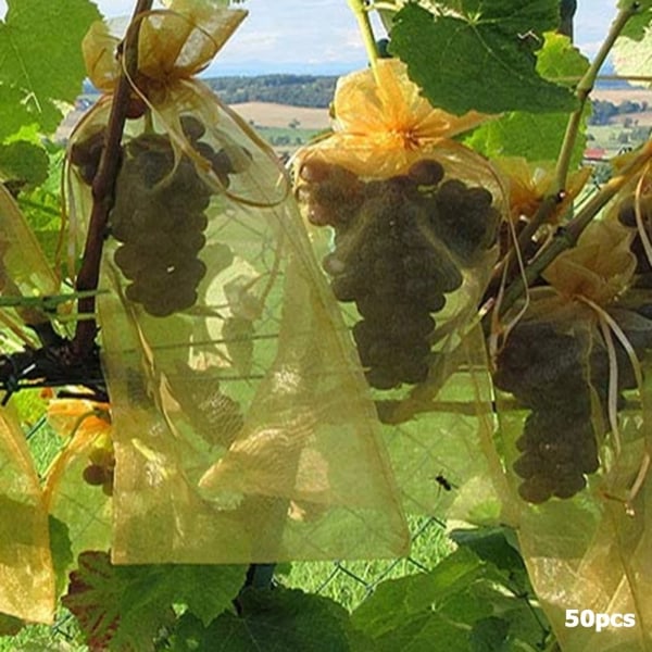 White Grape Protection Bag, 100Pcs Bunch Protection Bag, 17 x 23 cm, Plant Protection Bags, Organza Bag with Drawstring