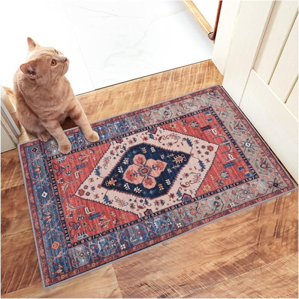 Retro Dörrmatta Inomhus, Halkfri Dörrmatta Inomhus, Mjuk, Snabbt Absorberande, Damm- och Smutsresistent Entrédörrmatta för Hall - 50 x 80 cm
