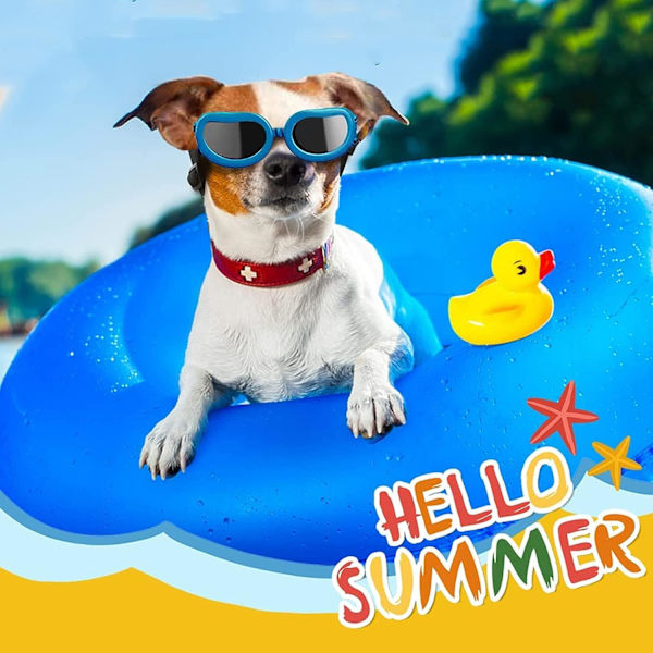 Hunde Goggles Hund Solbriller Kjæledyr Solbriller for UV-beskyttelse Hunde Goggles Vanntett Beskyttelse for Små og Mellomstore Hunder