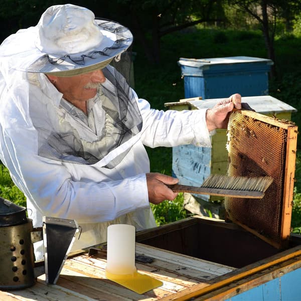 4 Pakke Bi Foderautomater Hive Biavl Vanddispenser Honning Hive Indgangsfoder Biavler Værktøjer