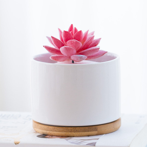 Suckulent Planter, Vit Mini Keramik Planter utan Bambubricka, 2-pack - Växter ingår ej