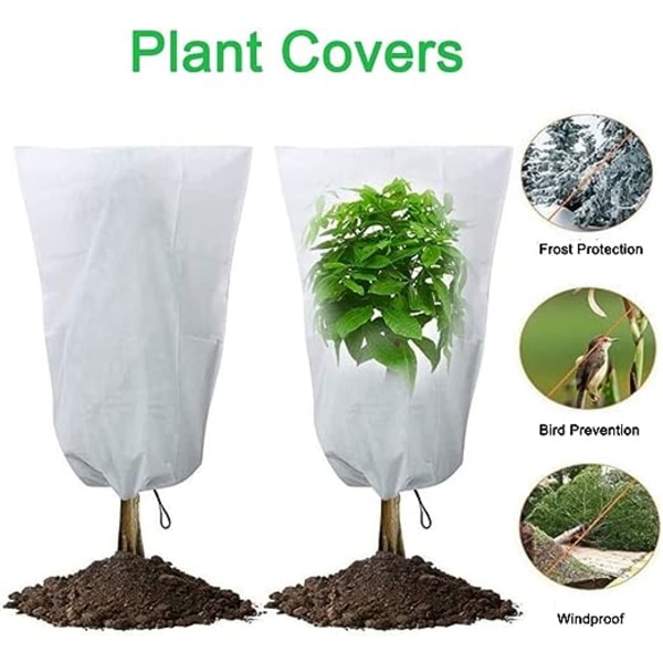 Pakke med 6 overvintringstrekk for potteplanter, Plantevern Cov