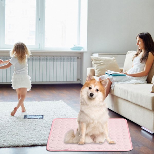 Sommer kæledyrsmåtte kæledyrs ispude størrelse S hundemåtte hundekennel hundemåtte kæledyrs ispude kattekølemåtte