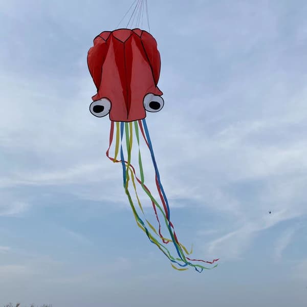 Multi Red Tail 400cm Kite - Bærbar Octopus Kite i Nylon og Polyester Materiale