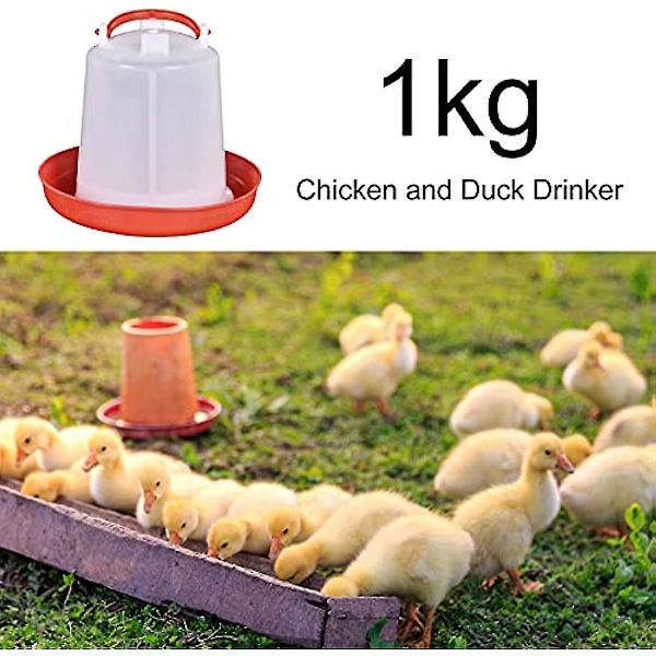 Kyllingmater Beholder Fjærkre Drikker Kyllingmater Og Vannmater Sett Fjærkre Vannmater Plast Kylling Drikker Med Bærehåndtak For Fjærkre Kylling Kylling