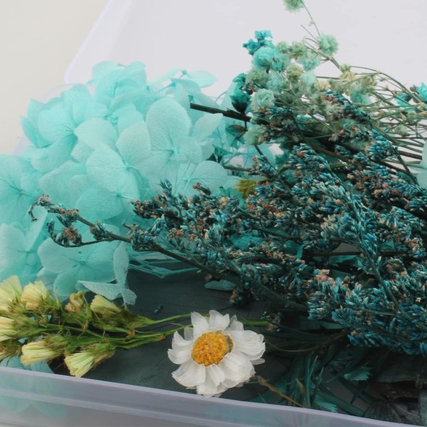 Naturligt torkade präglade torkade blommor Konserverade blommor Harts DIY