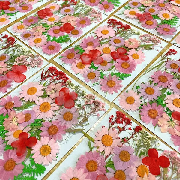 Naturlige tørkede blomster, 4 sett med tørkede buketter, blomsterhåndverk, håndlagde kronblader og blader for harpiks, scrapbooking, smykkefremstilling, anhengshåndverk.
