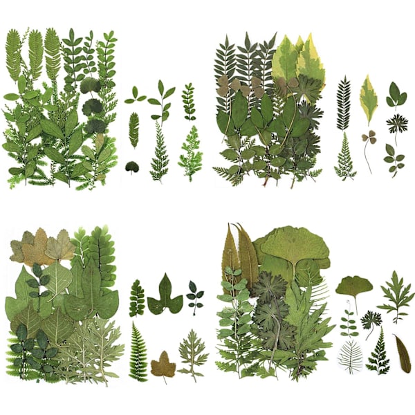 4 Pakke Presset Tørkede Blader Herbarium Plante Kronblad Blader Mix Ekte Naturlige Tørkede Blader For Resin Art DIY Nail Art Pynt Klistremerker Presset Le