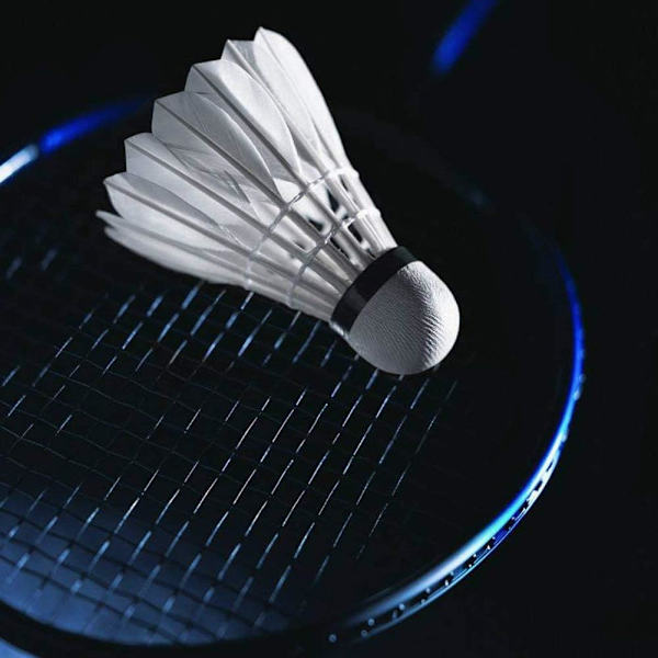 Badmintonfjädrar, 12-pack gåsfjäder badmintonfjädrar, badmintonbollar för inomhus, utomhus, sport, träning, motion, G