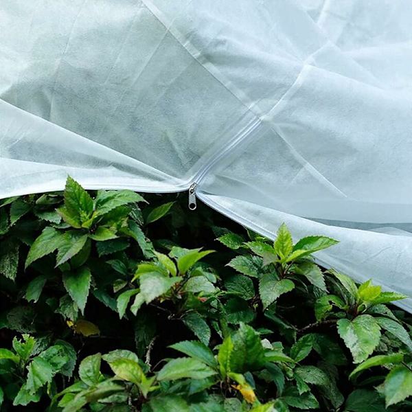 Plante vinterdækken, oliven vinterdækken, træ vinterdækken, tomat citrontræ beskyttende betræk, vinterdækken til planter grøntsagspose have