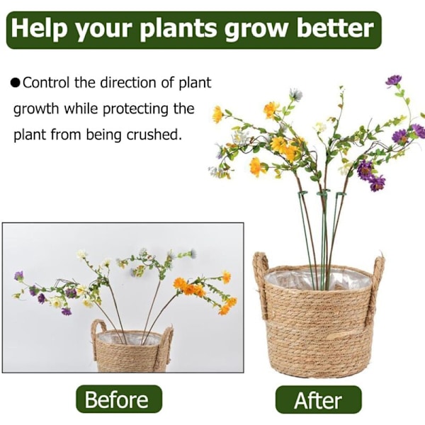 Plantstöd, 30 stycken växtstödspinnar, 17cm/27cm/37cm återanvändbart växtstöd för inomhusbruk, fixering för växttillväxt, lämpligt för pioner