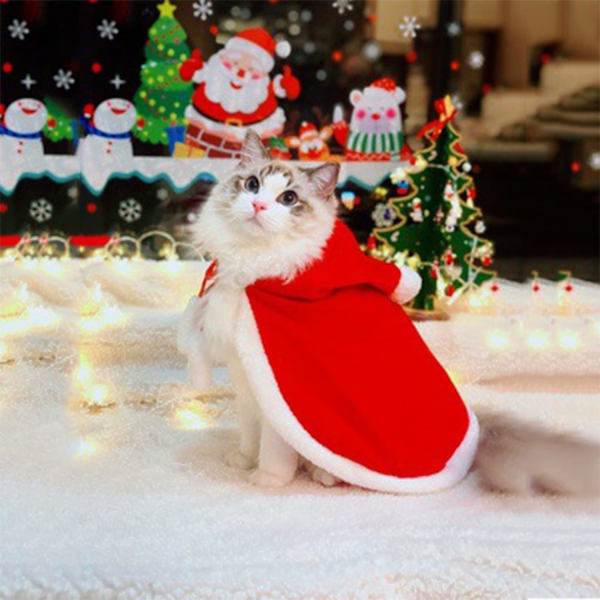 Katt Juldräkt, Husdjur Jul Huva Sjal, Katt Julklänning Justerbar, Liten Medelstor Katt Hund Valpar Kattunge, (Storlek M)