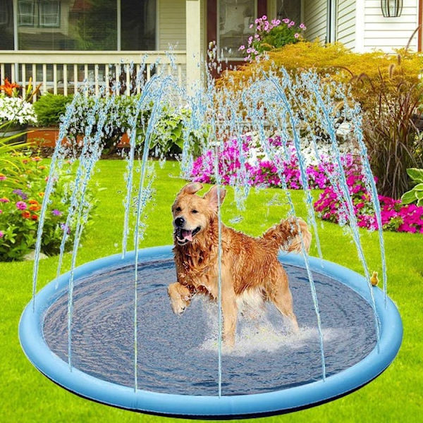 Stor hundpool, D170cm, tjocklek 0,43mm, halkfri hundmat, hållbara bärbara trädgårdsleksaker