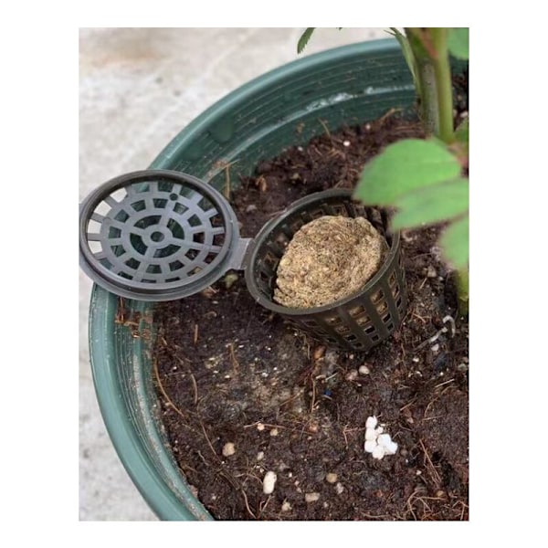 10 st Bonsai Krukskydd med Långsam Frigöring Kloformad Lock - Förhindra Att Växtrötter Bränns, Används för Bonsai/Balkongväxter (35mm Diameter)