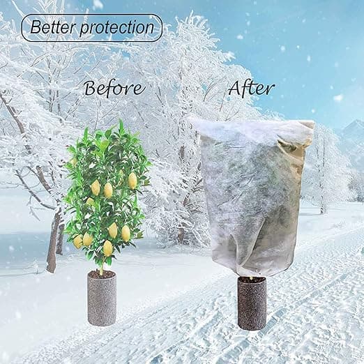 6-pack vintertäckning för krukväxter, växtskydd vinter frostskydd växter med dragsko för växtskydd (60 x 80 cm)