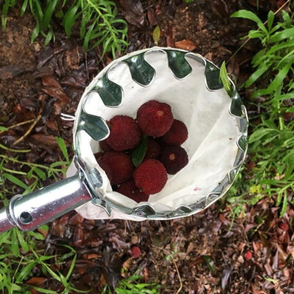 Fruktplukker med diameter 16 cm, frukthøstere hagearbeid plukkeverktøy metall fruktplukker med samlepose for høsting av epler, sitrusfrukter, pærer,