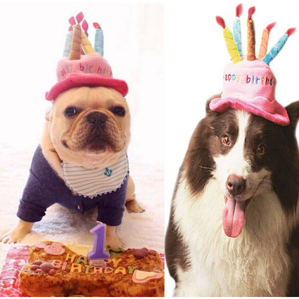 Hundfödelsedag Bandana Hatt Banner Fluga Set, Grattis på födelsedagen Fest Dekorationer för Valp Katt Husdjur Flicka (Rosa 7-delars set) (1-delars set)