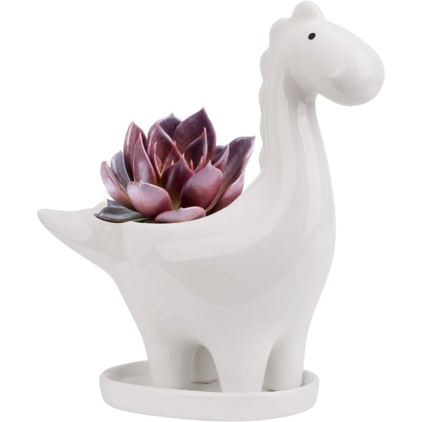 (Växt ingår ej) Keramisk blomkruka med fat - Vit, dinosaurieformad kaktusblomkruka, liten inomhusväxtkruka, present, dekorativ bonsai-blomkruka