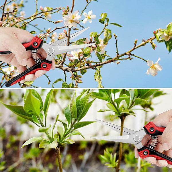 Profesjonell hagesaks i rustfritt stål for blomsterplanter