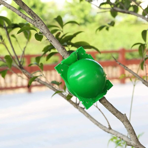 14 stycken växtrotningslåda förökning boll, ympningslåda högtrycksförökning boll maskin rotningsanordning (l+m+s, grön)