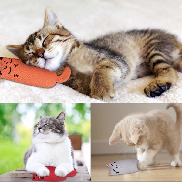 3-paknings interaktiv kattetennrengjøring plysjleker for innekatter Kattunge- Kreativ skrape Tyggetenner Sliping av kattemyntepute