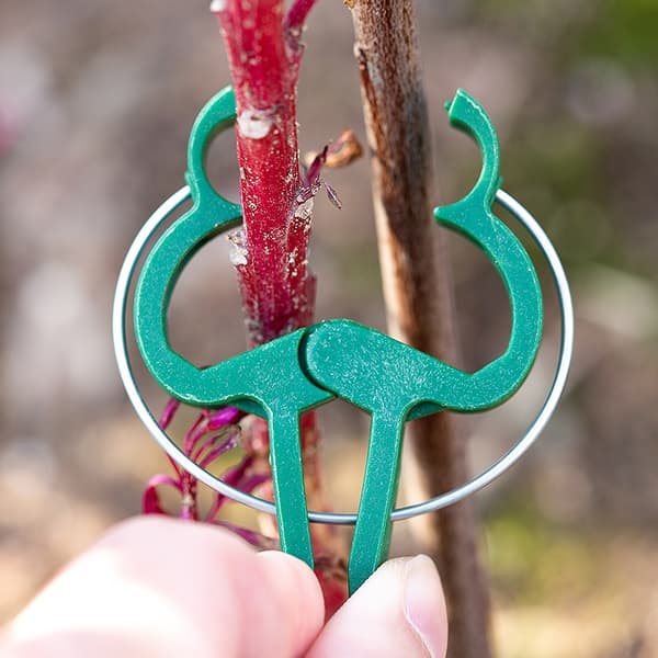 10 (4,5*3cm) Hageklips for Tomater, Roser, Agurker og Andre Klatreplanter - Stabiliserende Klips for Klatreplanter