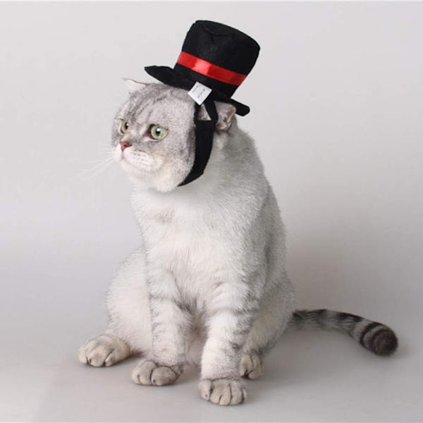 Kæledyr Hund Kat Top Hat Cosplay Kostume Sort Top Hat Jul Halloween Cosplays Tilbehør Ferie Kostume Tilbehør