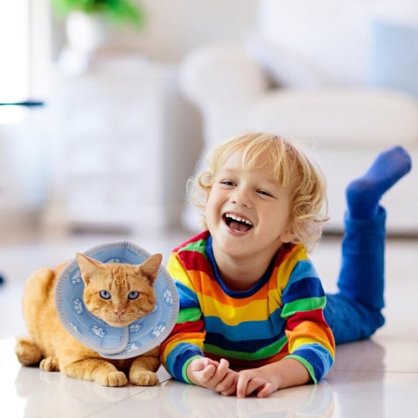 Collerette Katt Colerette Katt Anti-Ljus Anti-Bett Skydd Justerbart Skydd Återhämtningskrage med reflexremsor för valpar och katter