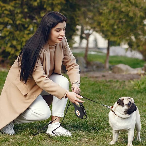 Retractable Leash, Retractable Dog Leash, Retractable Dog Leash with Light, Retractable Dog Leashes 5m Black Size, One Button Stop Block, Retractabl