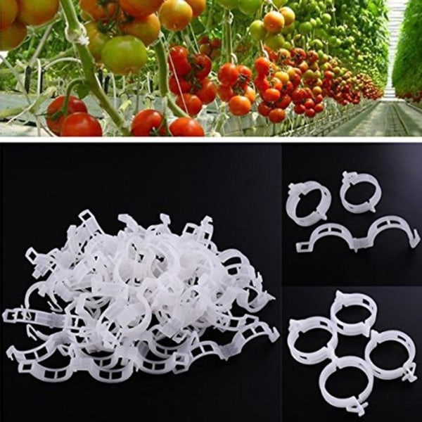 100 Pack Plant Support Clips for Vegetables, Tomatoes, and Vine Plants - For Vertical and Healthier Growth 2.5cm x 3cm White