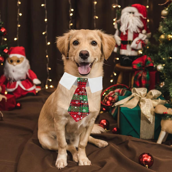 Julehunde-slips, kæledyrssmoking, juleslips til hunde med slips i rødt og grønt tern til små, mellemstore og store hunde (lille, rød og grøn)