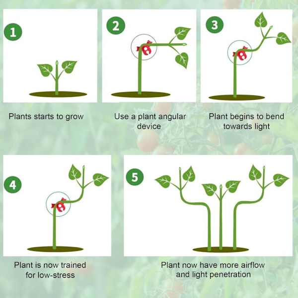 Sæt med 40 planteklips til planter, plastikklips, LST-klips til sløv stængelstøtte, 90 graders vinkel (cirkel, rød og grøn stil)